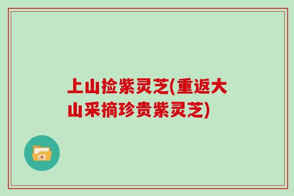 上山捡紫灵芝(重返大山采摘珍贵紫灵芝)