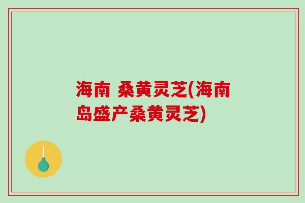海南 桑黄灵芝(海南岛盛产桑黄灵芝)
