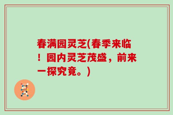 春满园灵芝(春季来临！园内灵芝茂盛，前来一探究竟。)