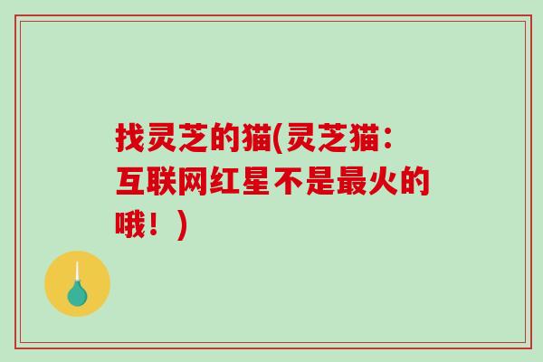找灵芝的猫(灵芝猫：互联网红星不是火的哦！)