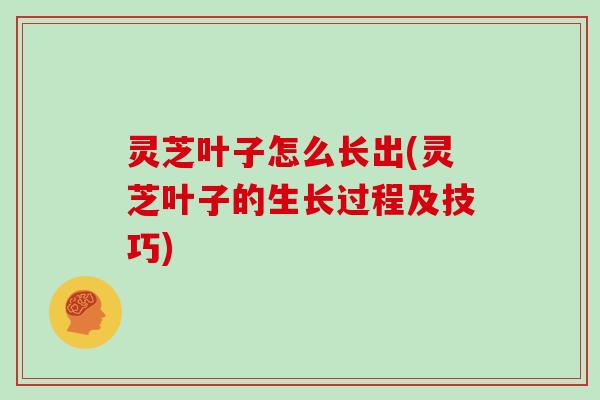 灵芝叶子怎么长出(灵芝叶子的生长过程及技巧)