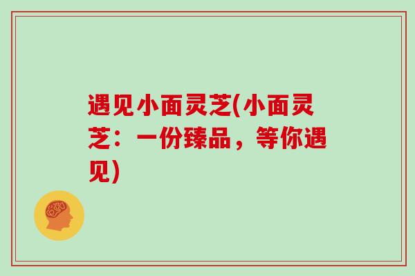 遇见小面灵芝(小面灵芝：一份臻品，等你遇见)