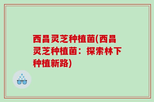 西昌灵芝种植菌(西昌灵芝种植菌：探索林下种植新路)