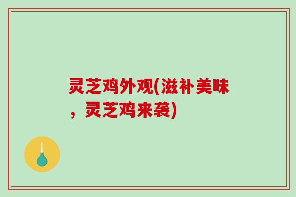 灵芝鸡外观(滋补美味，灵芝鸡来袭)