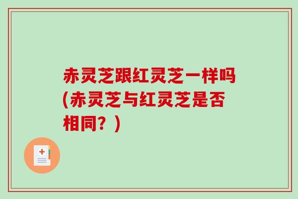 赤灵芝跟红灵芝一样吗(赤灵芝与红灵芝是否相同?) 赤灵芝跟红灵芝一样吗(赤灵芝与红灵芝是否相同?)