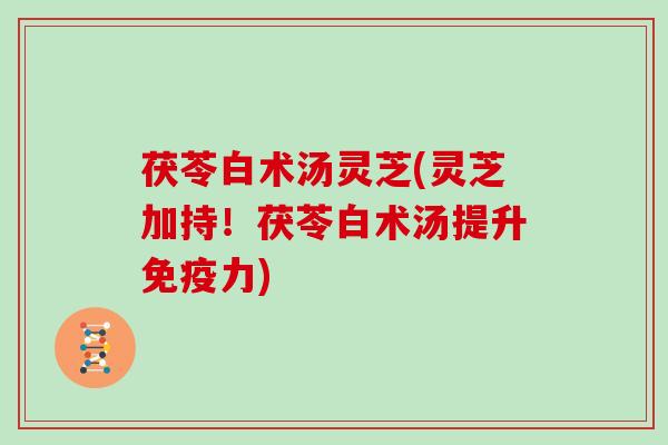 茯苓白术汤灵芝(灵芝加持！茯苓白术汤提升免疫力)