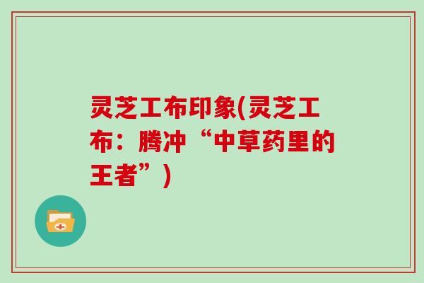 灵芝工布印象(灵芝工布：腾冲“中草药里的王者”)