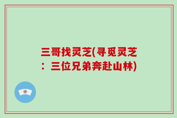 三哥找灵芝(寻觅灵芝：三位兄弟奔赴山林)