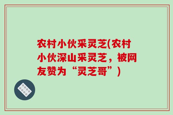 农村小伙采灵芝(农村小伙深山采灵芝，被网友赞为“灵芝哥”)