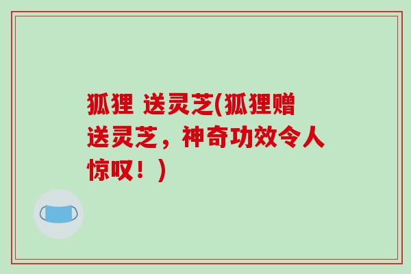 狐狸 送灵芝(狐狸赠送灵芝，神奇功效令人惊叹！)