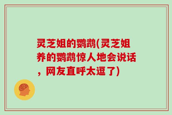 灵芝姐的鹦鹉(灵芝姐养的鹦鹉惊人地会说话，网友直呼太逗了)
