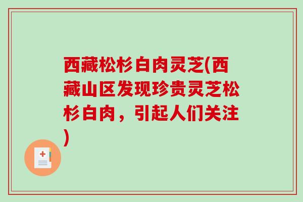 西藏松杉白肉灵芝(西藏山区发现珍贵灵芝松杉白肉，引起人们关注)