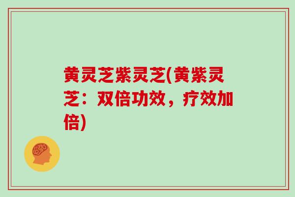 黄灵芝紫灵芝(黄紫灵芝：双倍功效，疗效加倍)