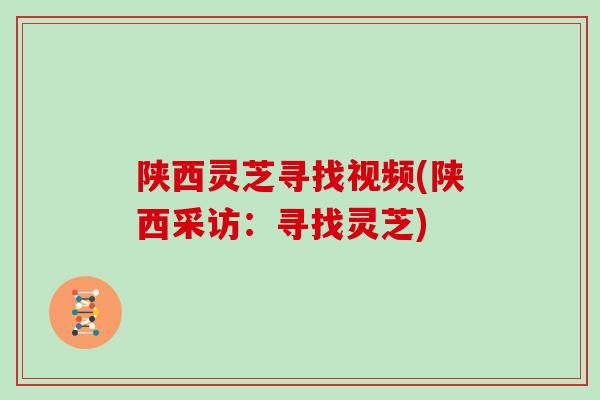陕西灵芝寻找视频(陕西采访：寻找灵芝)