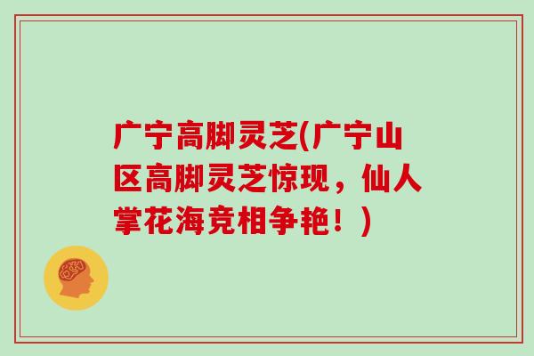 广宁高脚灵芝(广宁山区高脚灵芝惊现，仙人掌花海竞相争艳！)
