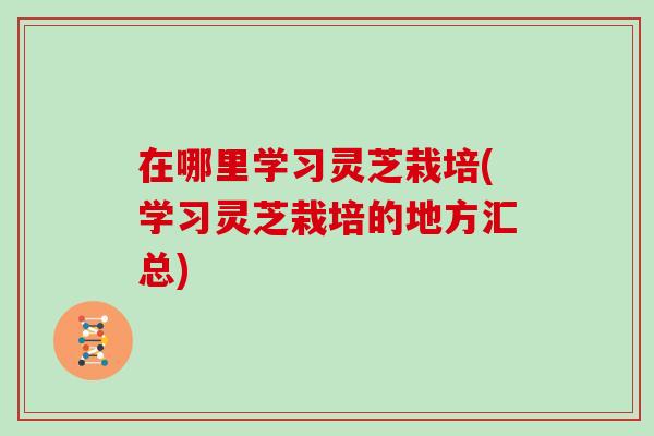 在哪里学习灵芝栽培(学习灵芝栽培的地方汇总)