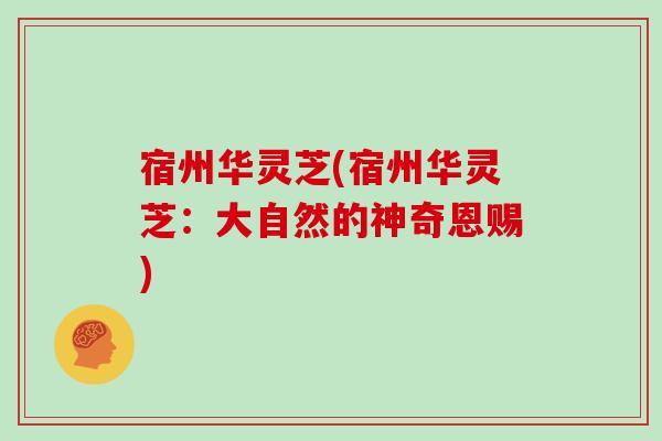 宿州华灵芝(宿州华灵芝：大自然的神奇恩赐)