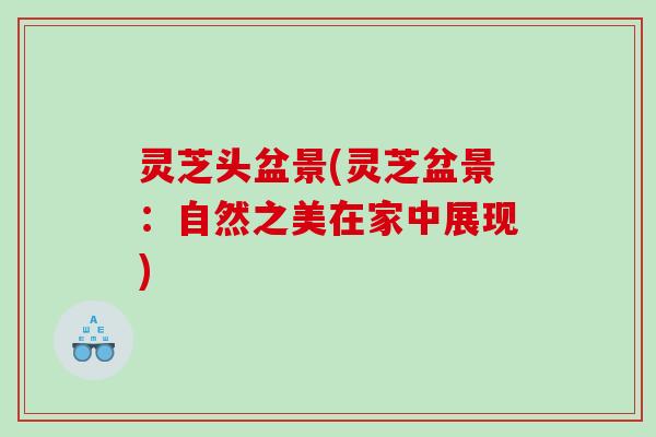 灵芝头盆景(灵芝盆景：自然之美在家中展现)