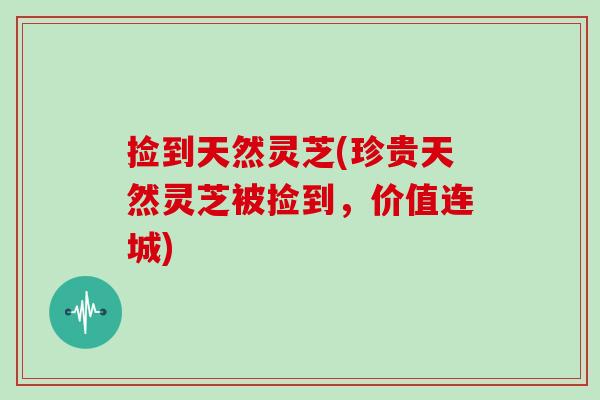 捡到天然灵芝(珍贵天然灵芝被捡到，价值连城)