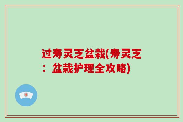 过寿灵芝盆栽(寿灵芝：盆栽护理全攻略)