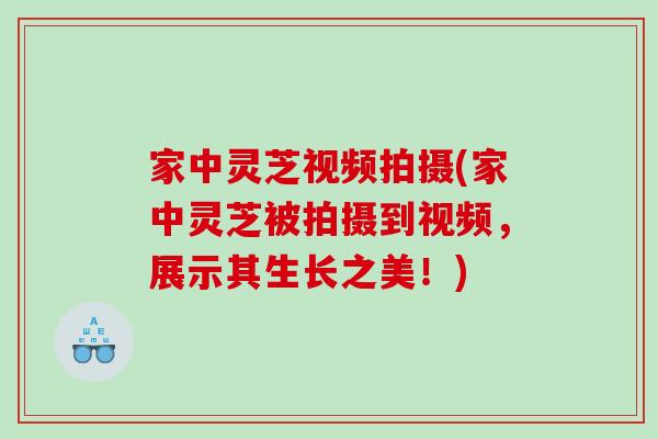 家中灵芝视频拍摄(家中灵芝被拍摄到视频，展示其生长之美！)