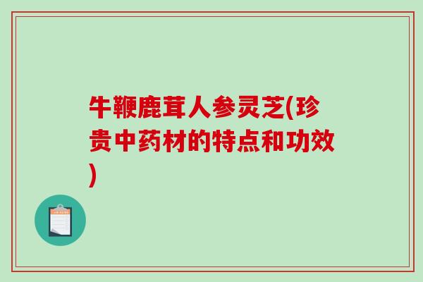 牛鞭鹿茸人参灵芝(珍贵材的特点和功效)