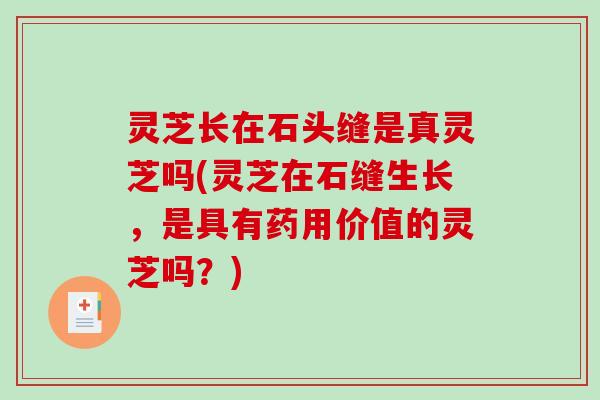 灵芝长在石头缝是真灵芝吗(灵芝在石缝生长，是具有药用价值的灵芝吗？)