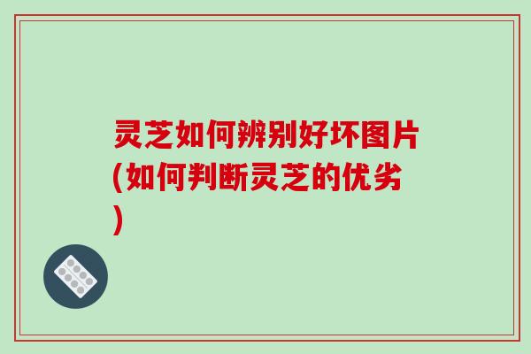 灵芝如何辨别好坏图片(如何判断灵芝的优劣)