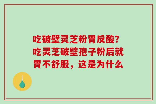 吃破壁灵芝粉胃反酸？吃灵芝破壁孢子粉后就胃不舒服，这是为什么