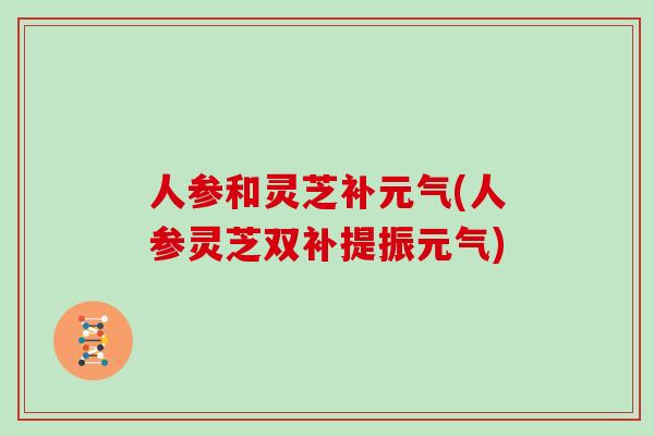 人参和灵芝补元气(人参灵芝双补提振元气)