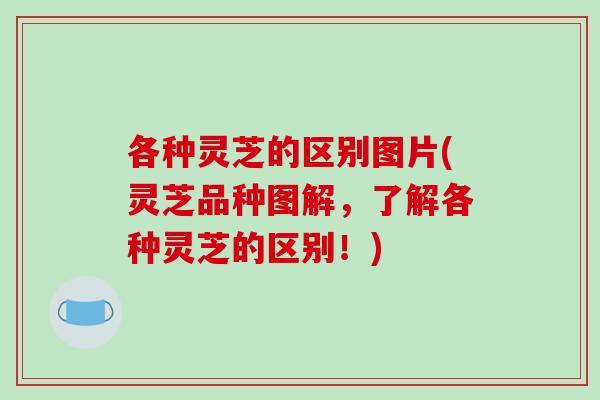 各种灵芝的区别图片(灵芝品种图解，了解各种灵芝的区别！)