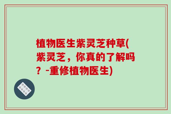 植物医生紫灵芝种草(紫灵芝，你真的了解吗？-重修植物医生)