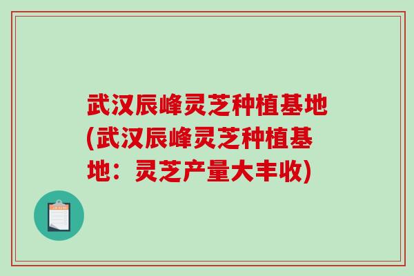武汉辰峰灵芝种植基地(武汉辰峰灵芝种植基地:灵芝产量大丰收) 武汉辰峰灵芝种植基地(武汉辰峰灵芝种植基地:灵芝产量大丰收)