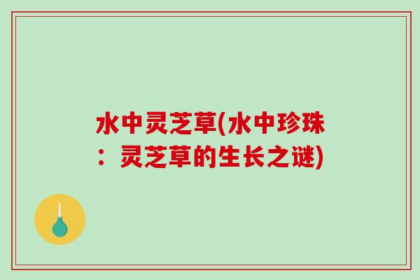 水中灵芝草(水中珍珠:灵芝草的生长之谜) 水中灵芝草(水中珍珠:灵芝草的生长之谜)