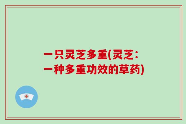一只灵芝多重(灵芝:一种多重功效的草药) 一只灵芝多重(灵芝:一种多重功效的草药)