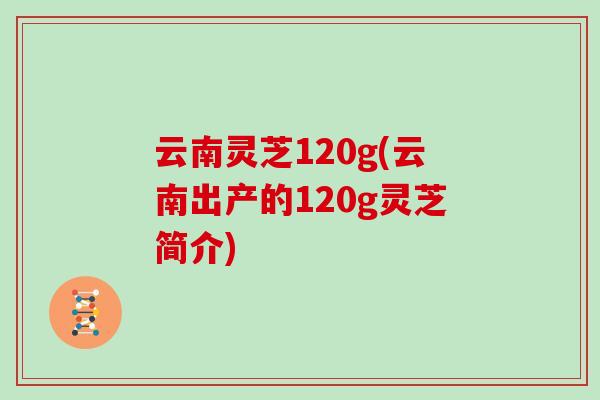 云南灵芝120g(云南出产的120g灵芝简介) 云南灵芝120g(云南出产的120g灵芝简介)