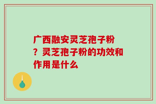 广西融安灵芝孢子粉 ?灵芝孢子粉的功效和作用是什么 广西融安灵芝孢子粉 ?灵芝孢子粉的功效和作用是什么