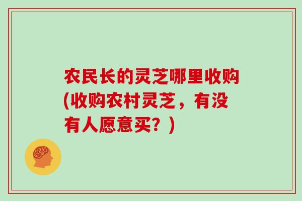 农民长的灵芝哪里收购(收购农村灵芝,有没有人愿意买?) 农民长的灵芝哪里收购(收购农村灵芝,有没有人愿意买?)
