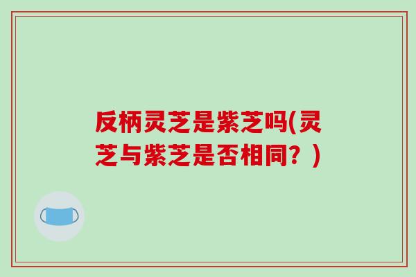 反柄灵芝是紫芝吗(灵芝与紫芝是否相同?) 反柄灵芝是紫芝吗(灵芝与紫芝是否相同?)