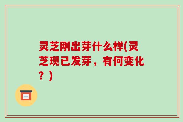 灵芝刚出芽什么样(灵芝现已发芽，有何变化？)