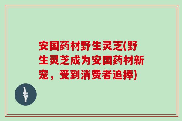 安国药材野生灵芝(野生灵芝成为安国药材新宠，受到消费者追捧)