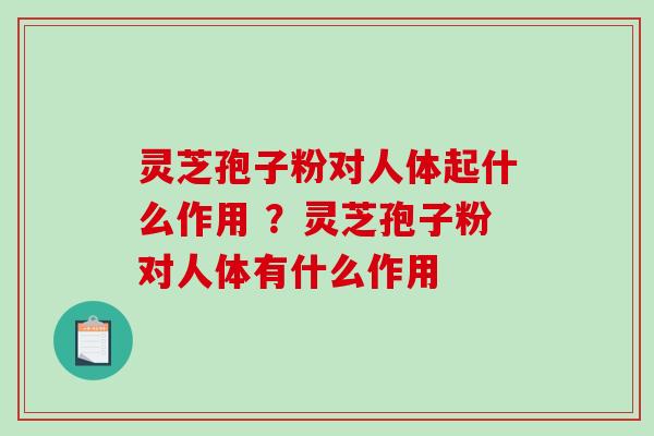灵芝孢子粉对人体起什么作用 ？灵芝孢子粉对人体有什么作用