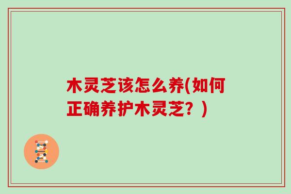 木灵芝该怎么养(如何正确养护木灵芝？)