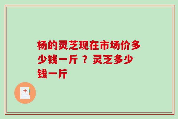 杨的灵芝现在市场价多少钱一斤 ？灵芝多少钱一斤