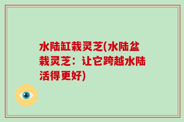 水陆缸栽灵芝(水陆盆栽灵芝：让它跨越水陆活得更好)