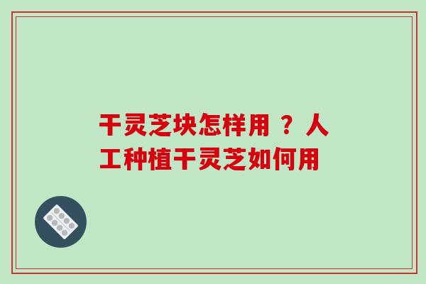 干灵芝块怎样用 ？人工种植干灵芝如何用