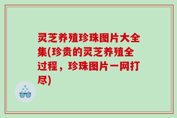 灵芝养殖珍珠图片大全集(珍贵的灵芝养殖全过程，珍珠图片一网打尽)