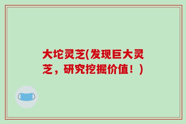 大坨灵芝(发现巨大灵芝，研究挖掘价值！)