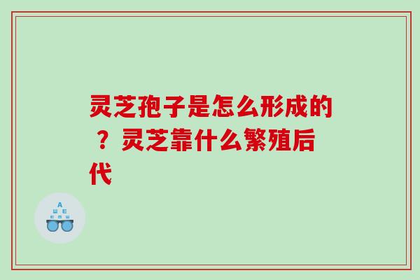 灵芝孢子是怎么形成的 ？灵芝靠什么繁殖后代