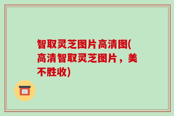 智取灵芝图片高清图(高清智取灵芝图片，美不胜收)